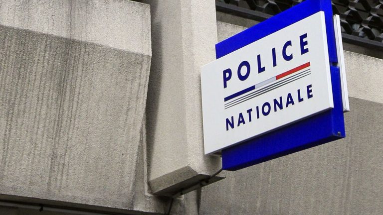France: un commissariat de police fermé… face à une « invasion de puces »