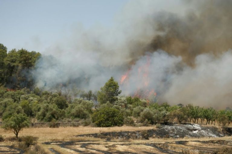 Incendie, manque d&rsquo;eau, risques sanitaires: l&rsquo;Europe face à des records de chaleur