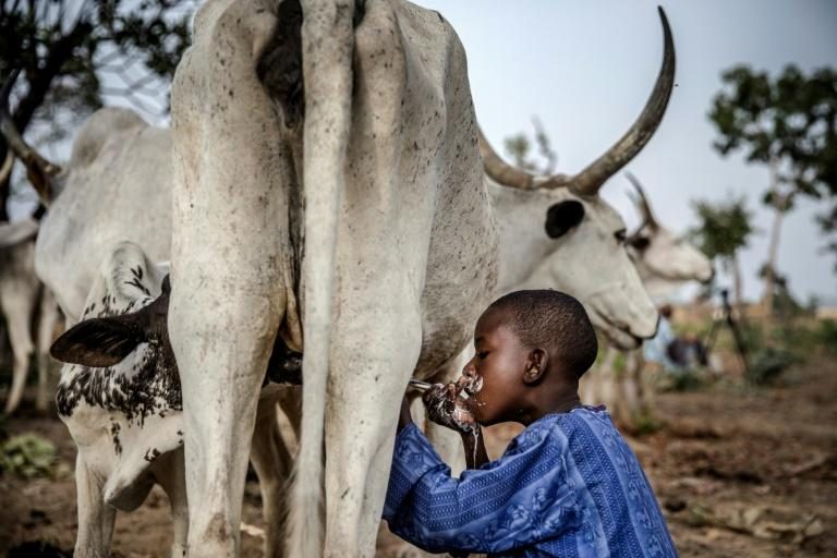 Les Peuls, entre traditions centenaires et conflits d&rsquo;aujourd&rsquo;hui