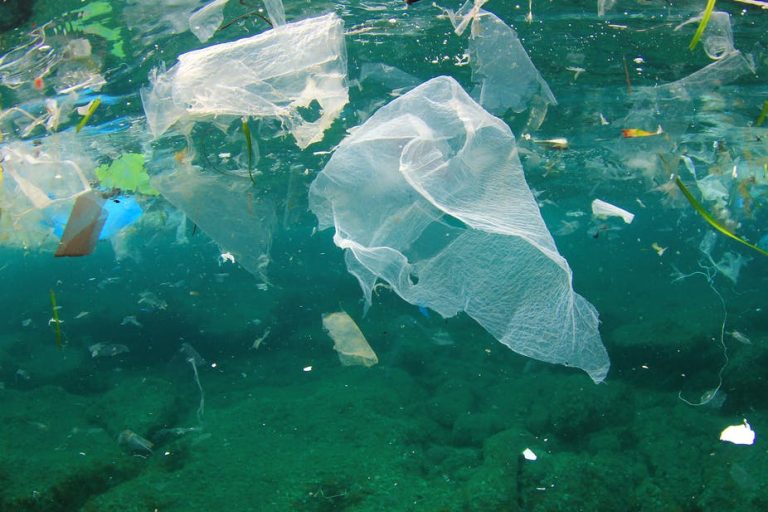 Les pays d&rsquo;Asie du Sud-Est tentent de s&rsquo;unir contre la pollution des océans