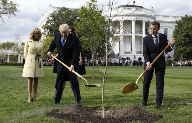L&rsquo;arbre symbole de l&rsquo;amitié Trump-Macron est mort