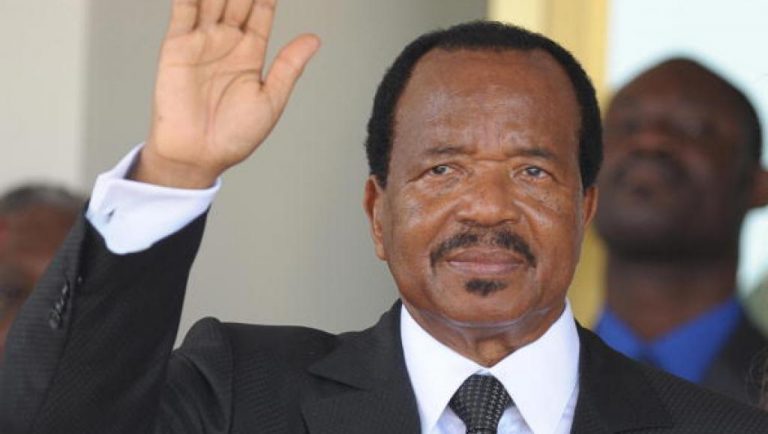 Cameroun: les législatives à leur tour reportées une deuxième fois à 2020