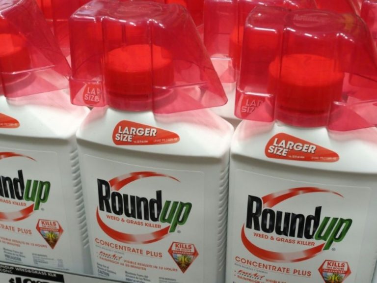 Procès Roundup: nouvelle forte réduction des dommages dus par Monsanto