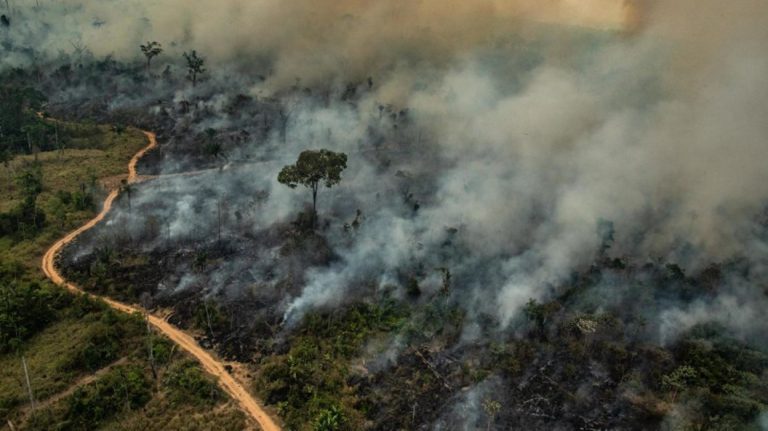 Les feux sont un « tournant décisif » pour l&rsquo;Amazonie