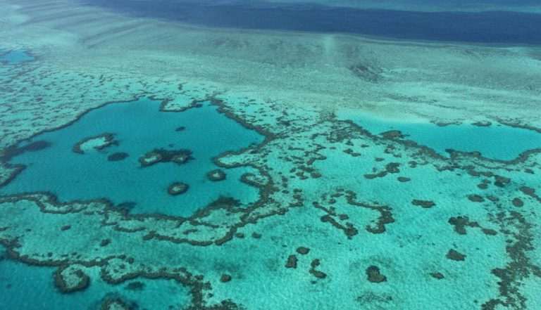 Australie: les perspectives désormais « très mauvaises » pour la Grande Barrière