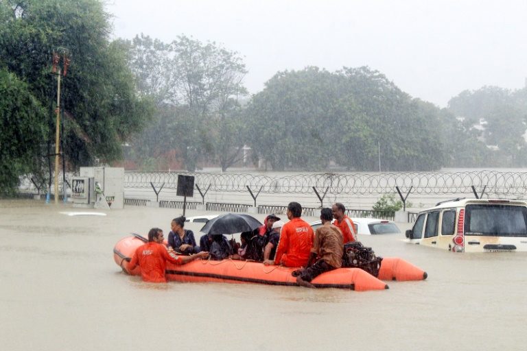 Inde: des crocodiles dans la ville
