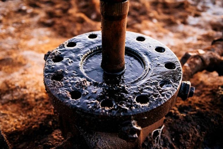 Niger: la plus grande réserve naturelle d&rsquo;Afrique menacée par l&rsquo;exploitation pétrolière