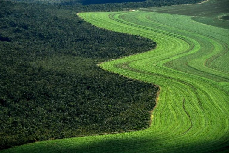 L&rsquo;humanité au défi de nourrir 10 milliards de personnes sans ravager la planète