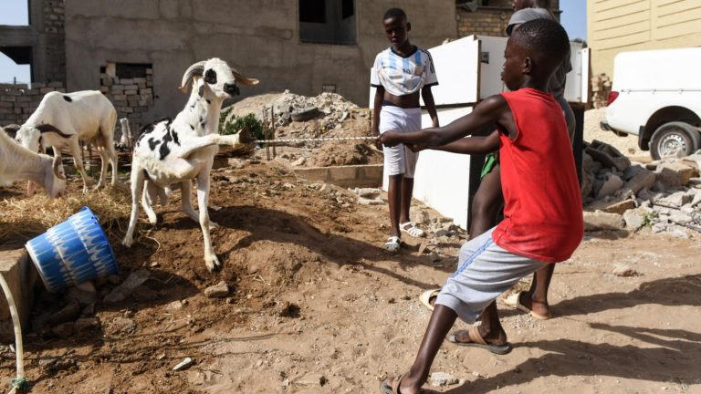 Au Sénégal, la Tabaski se fête entre musulmans et chrétiens