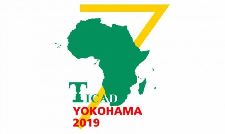 Ticad 7 : l&rsquo;Afrique francophone très demandeuse d&rsquo;investissements japonais privés